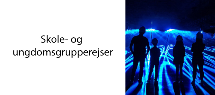 skole